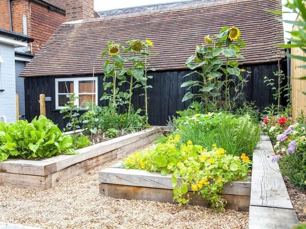 The Horse & Cart Hotel Peasmarsh Екстериор снимка